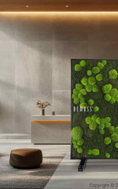 PARAVAN_FLATMOSS_BOLMOSS_LIGHT_02_2_11zon