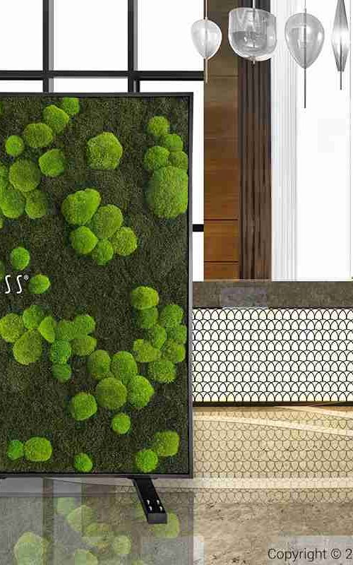 PARAVAN_FLATMOSS_BOLMOSS_LIGHT_02_3_11zon