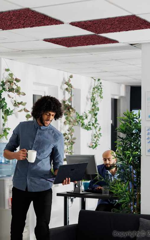 STROPNA_KAZETA_BURGUNDY_02_11zon