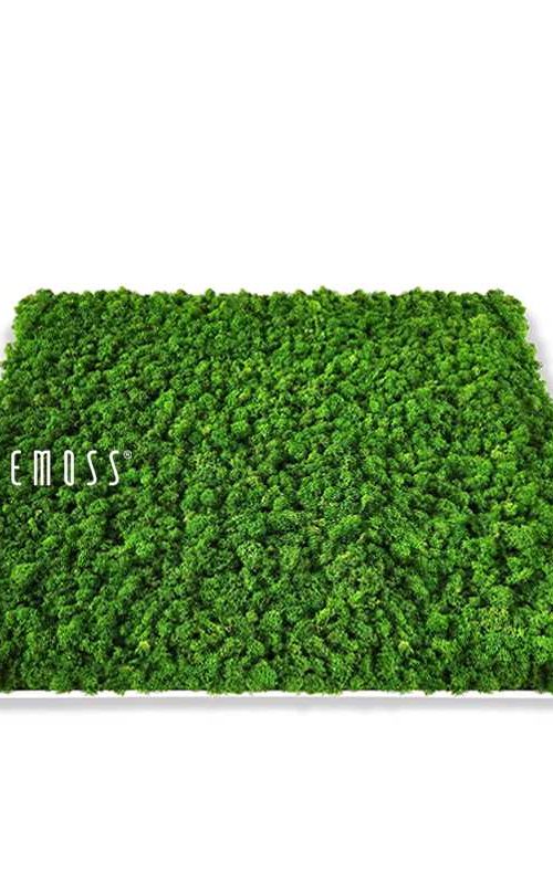 STROPNA_KAZETA_GREEN_LIGHT_01_LOGO_11zon