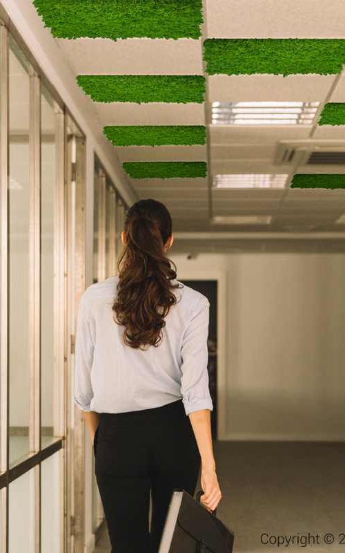 STROPNA_KAZETA_GREEN_LIGHT_02_11zon