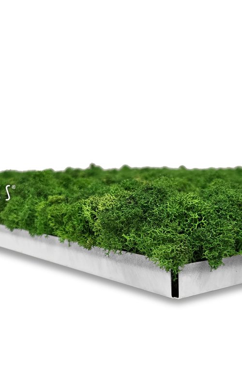 STROPNA_KAZETA_GREEN_LIGHT_04_LOGO_11zon