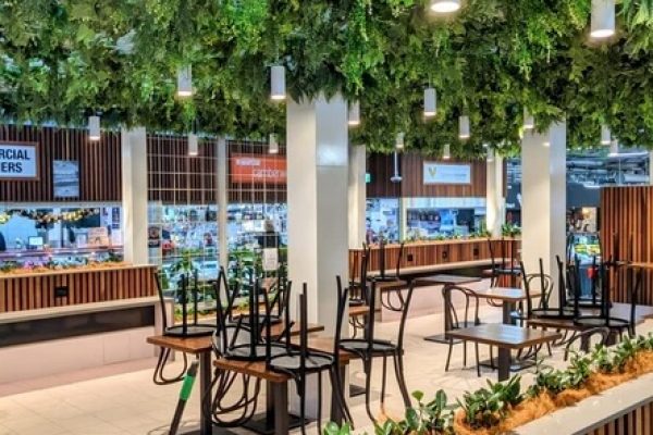 Umelá zelená stena na strope v reštaurácii