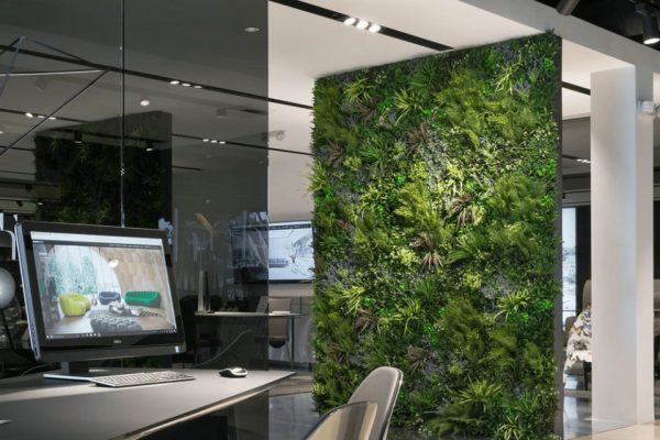 Umelá zelená stena v kancelárii