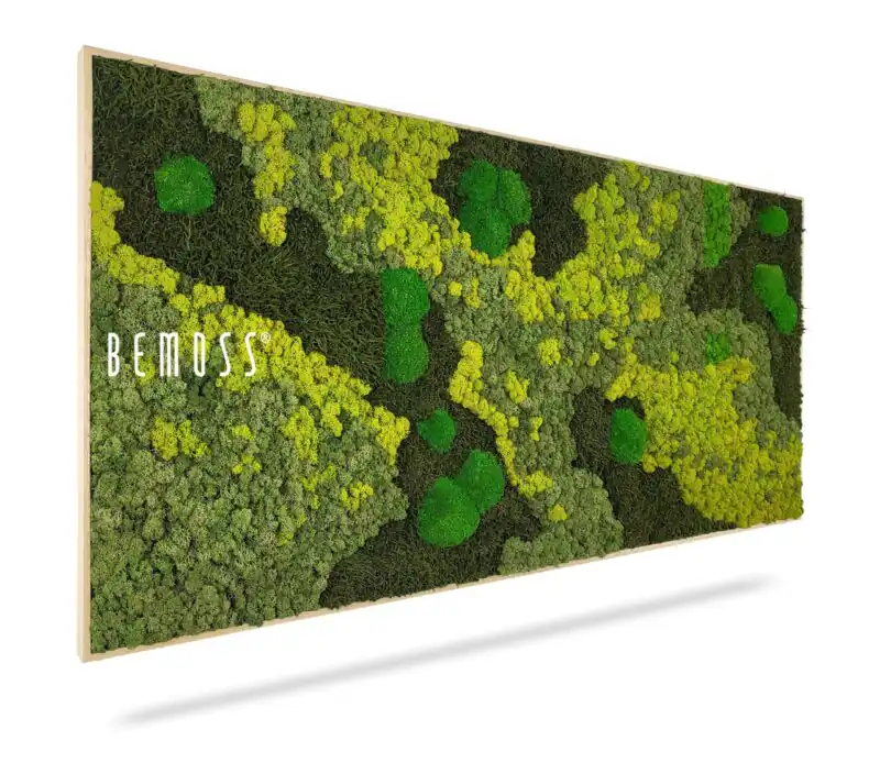 Tableau de mousse BEMOSS® ORTHO LIME