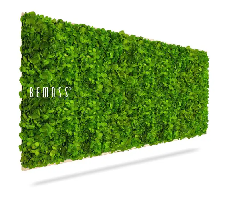 Tableau de mousse BEMOSS® MIMI