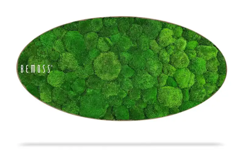 Tableau de mousse Ellipse BOLMOSS Light
