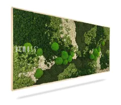 Une œuvre d'art murale rectangulaire en mousse verte de BEMOSS présentant des nuances contrastées de vert et des taches de blanc. Le design comprend diverses textures et formes de mousse, créant une apparence naturelle, luxuriante et vibrante. Cet exquis Tableau de mousse BEMOSS® ORTHO FOREST apporte la beauté de la nature à l'intérieur.