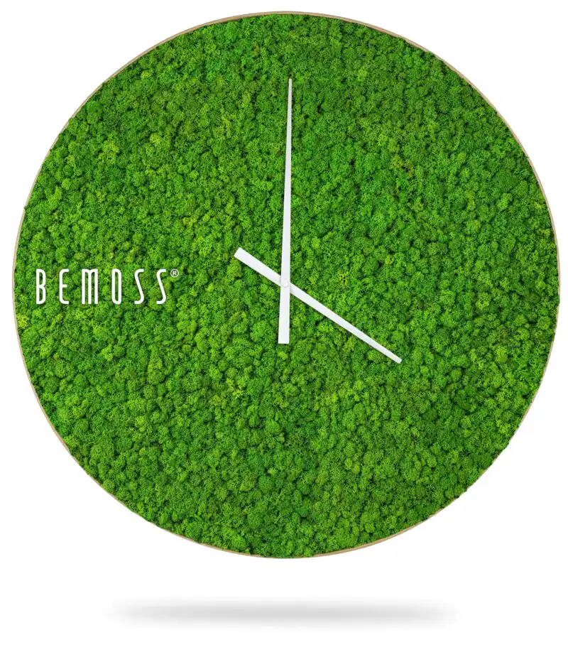 Horloge en mousse LICHEN