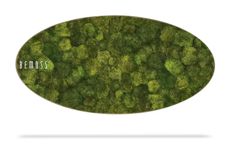 Tableau de mousse Ellipse SIBERIAN