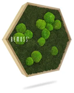 Cadre hexagonal en bois rempli de mousse préservée d'un vert éclatant de différentes formes et tailles disposées de manière artistique. Le mot « BEMOSS » est visible sur le côté gauche à l'intérieur du tableau de mousse.
