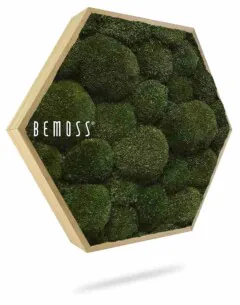 Le Tableau de mousse Ellipse BOLMOSS Naturel est une œuvre murale hexagonale encadrée de boules de mousse verte serrées les unes contre les autres. Ce motif crée un effet texturé et naturel, avec le mot « BEMOSS » inscrit sur sa surface.