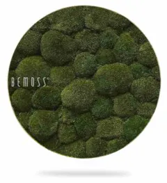 Le Tableau de mousse Ellipse BOLMOSS Naturel est un objet décoratif circulaire dont la surface texturée en mousse verte offre un aspect naturel et luxuriant. L'inscription « BEMOSS » est inscrite sur le côté gauche, projetant une ombre subtile sur un fond blanc.