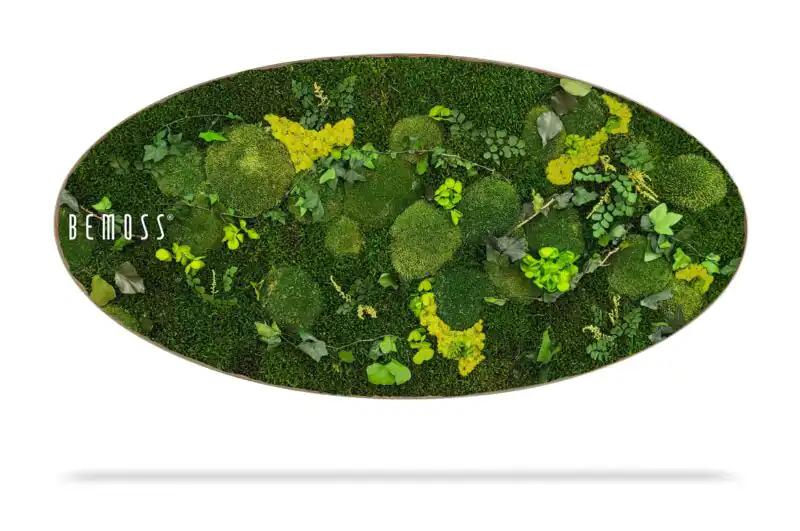 Tableau de mousse Ellipse PLANTES Mesia Lime