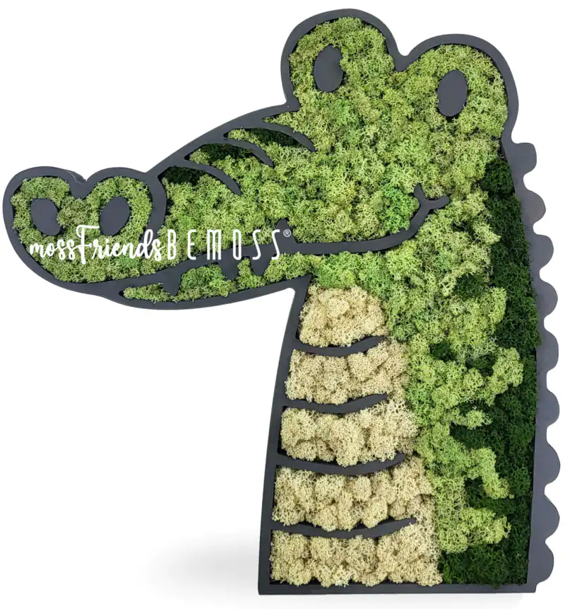 CROCODILE