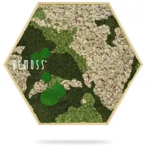 mapa machu s nápisom byť machom v šesťhrannom ráme s bielym pozadím, ekologické umenie , machovy obraz, stabilizovany mach, machová stena, machová dekorácia