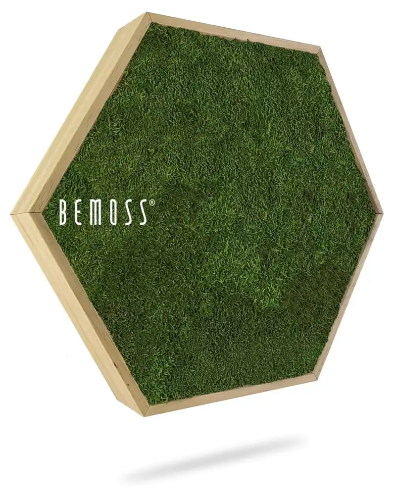 Hexagone de Mousse FLATMOSS