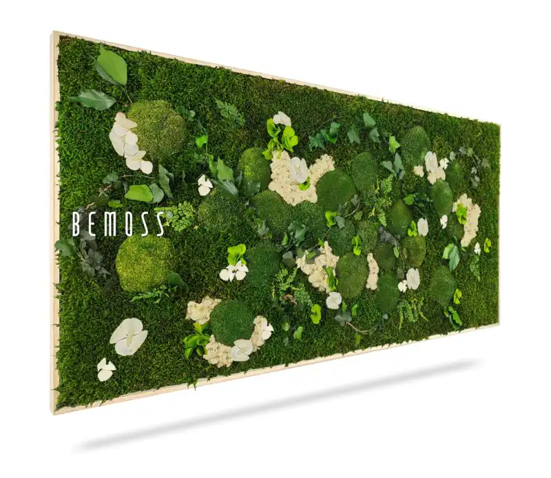 Tableau de mousse PLANTES Mesia Natural