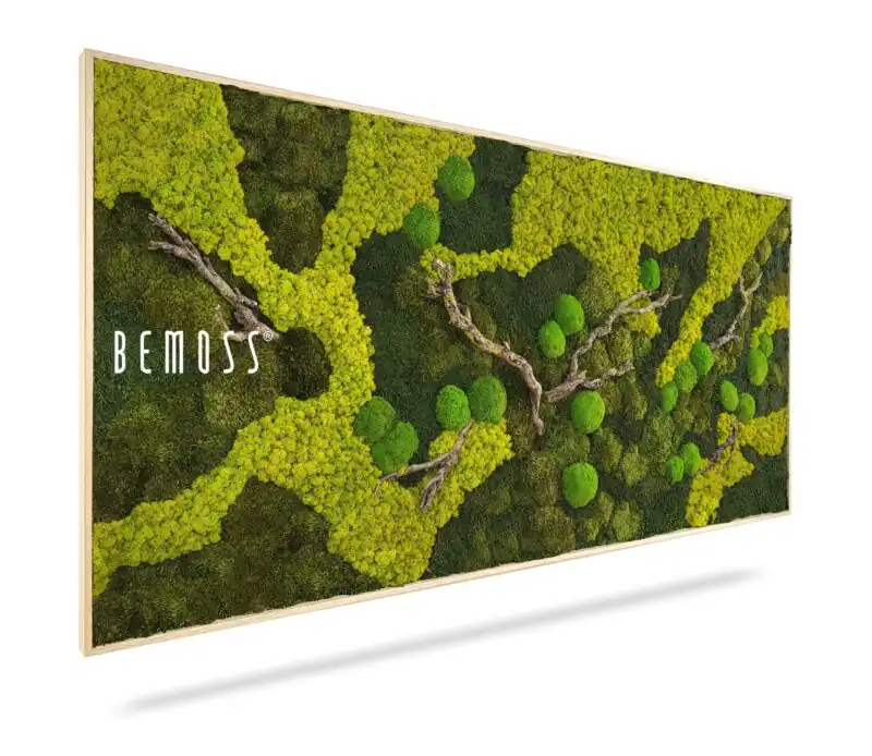Tableau de mousse BEMOSS® ORTHO BORJA