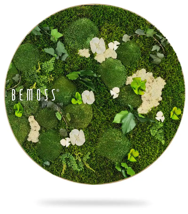 Tableau de mousse rond PLANTES Mesia Natural
