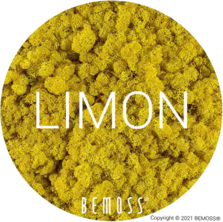 61 Jaune citron