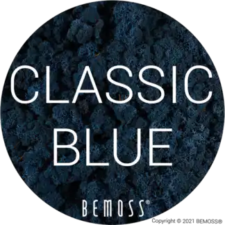 84 Bleu classique