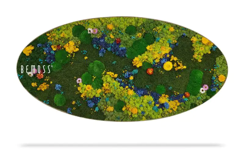 Tableau de mousse Ellipse BEMOSS® ORTHO TORRES