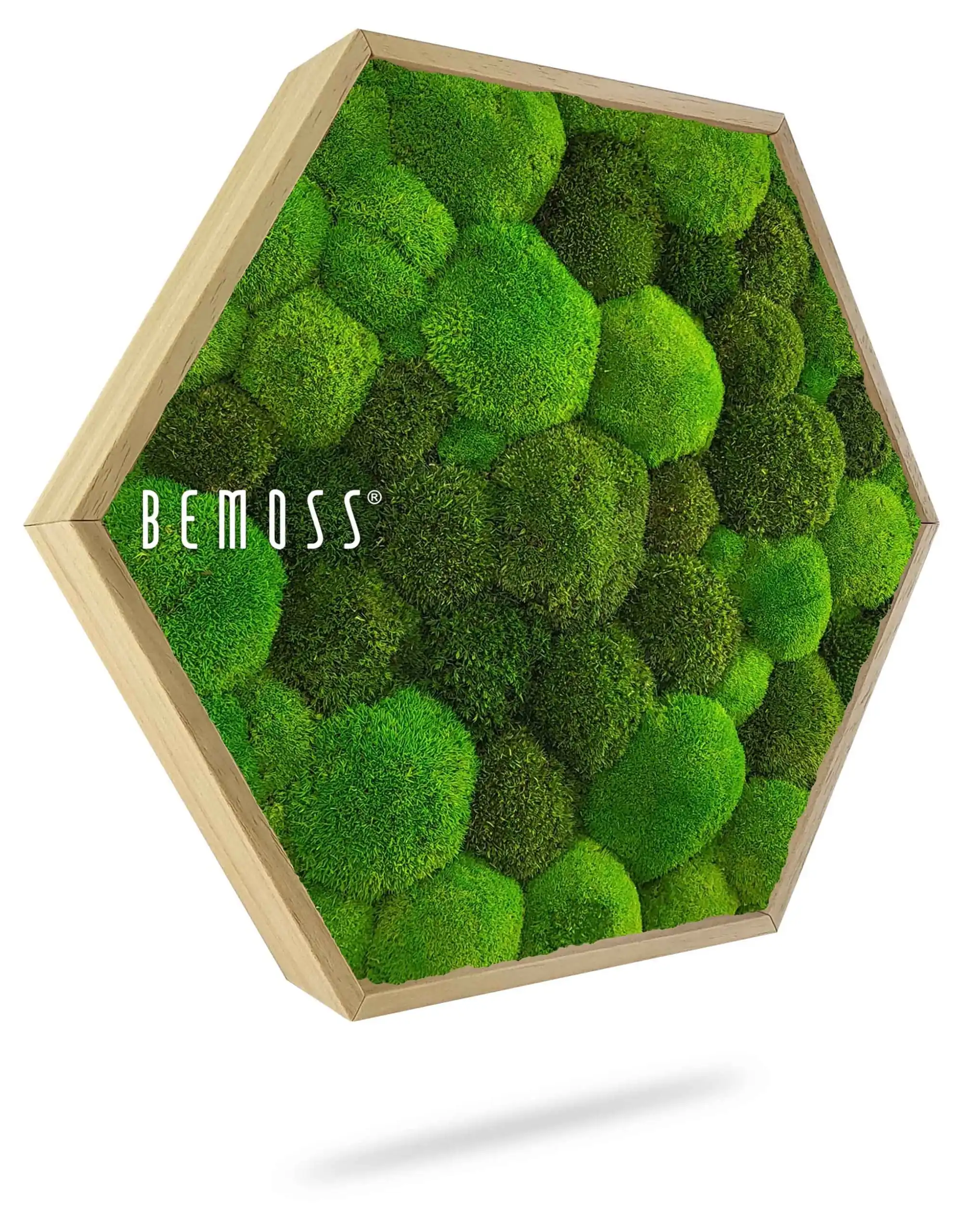 Hexagone de Mousse BOLMOSS DUO Light Green – Image 1