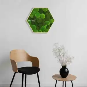 Hexagone de Mousse BOLMOSS DUO Light Green - Thumbnail Image 2