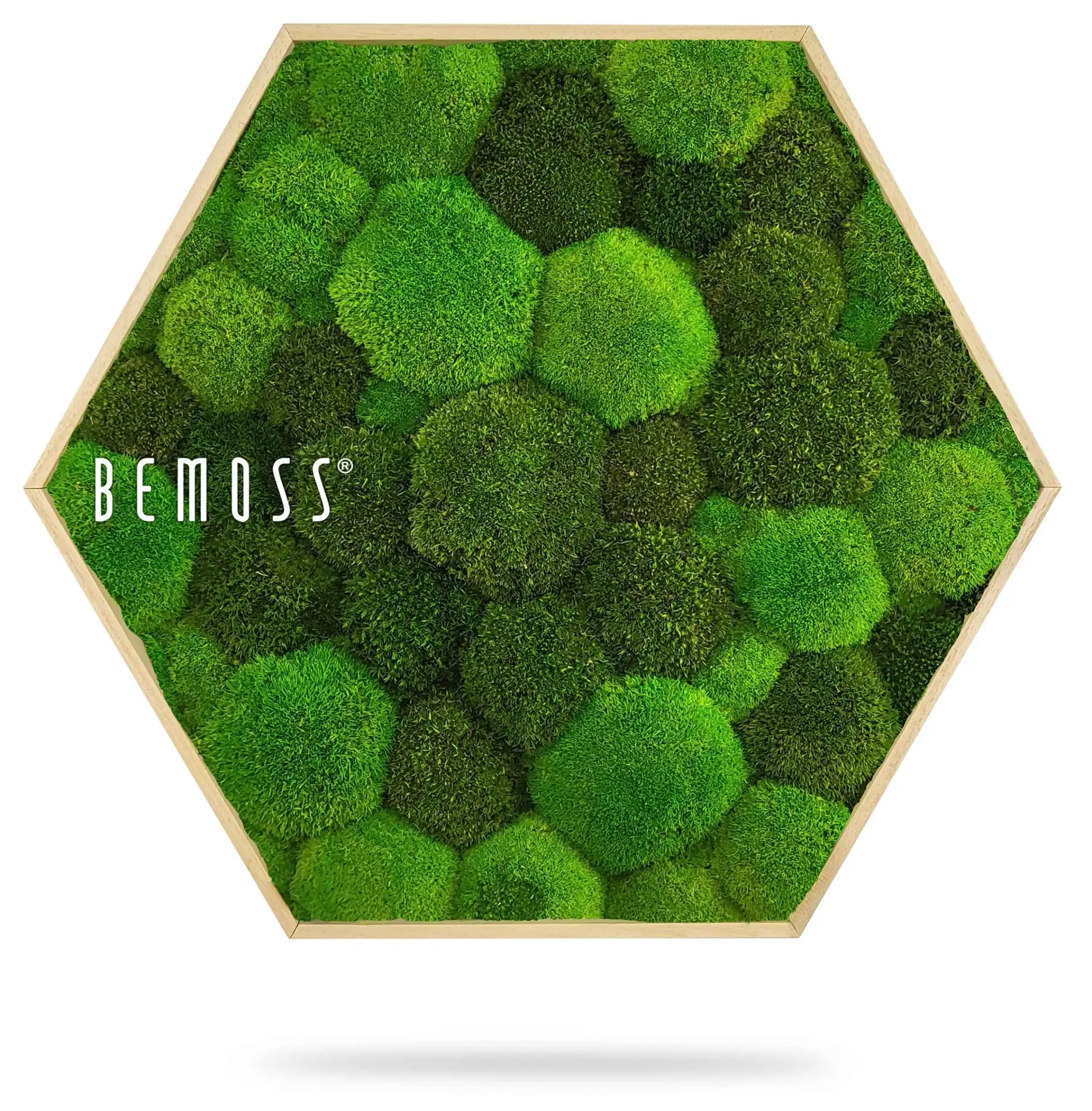 Hexagone de Mousse BOLMOSS DUO Light Green – Image 3