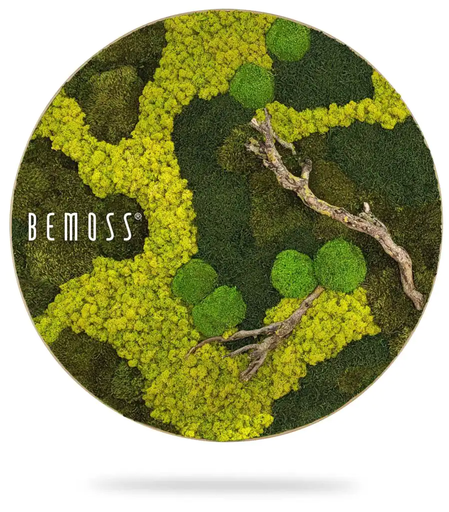 obrázok stromu obrasteného machom s nápisom bemoss v tvare kruhu s bielym pozadím, environmentálne umenie , machovy obraz, stabilizovany mach, machová stena, machová dekorácia