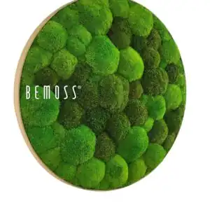 Tableau de mousse rond BOLMOSS DUO Light Green - Thumbnail Image 2