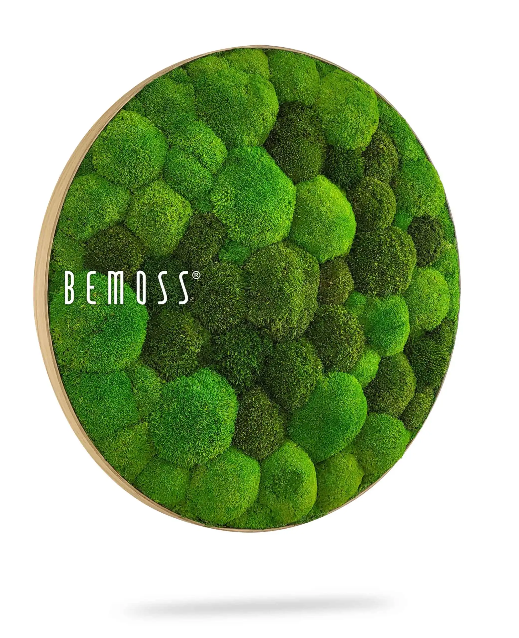 Tableau de mousse rond BOLMOSS DUO Light Green – Image 2