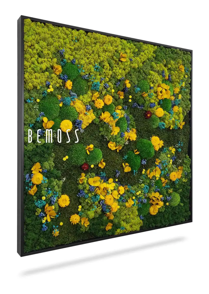 Tableaux fleurs stabilisées