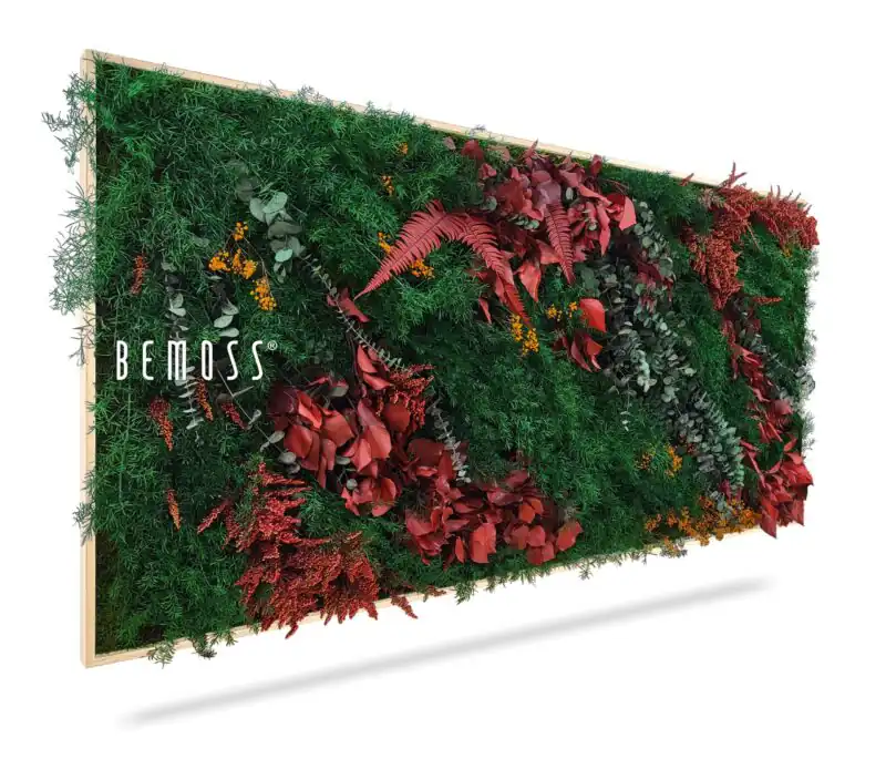 Tableau de mousse PLANTES Zorita