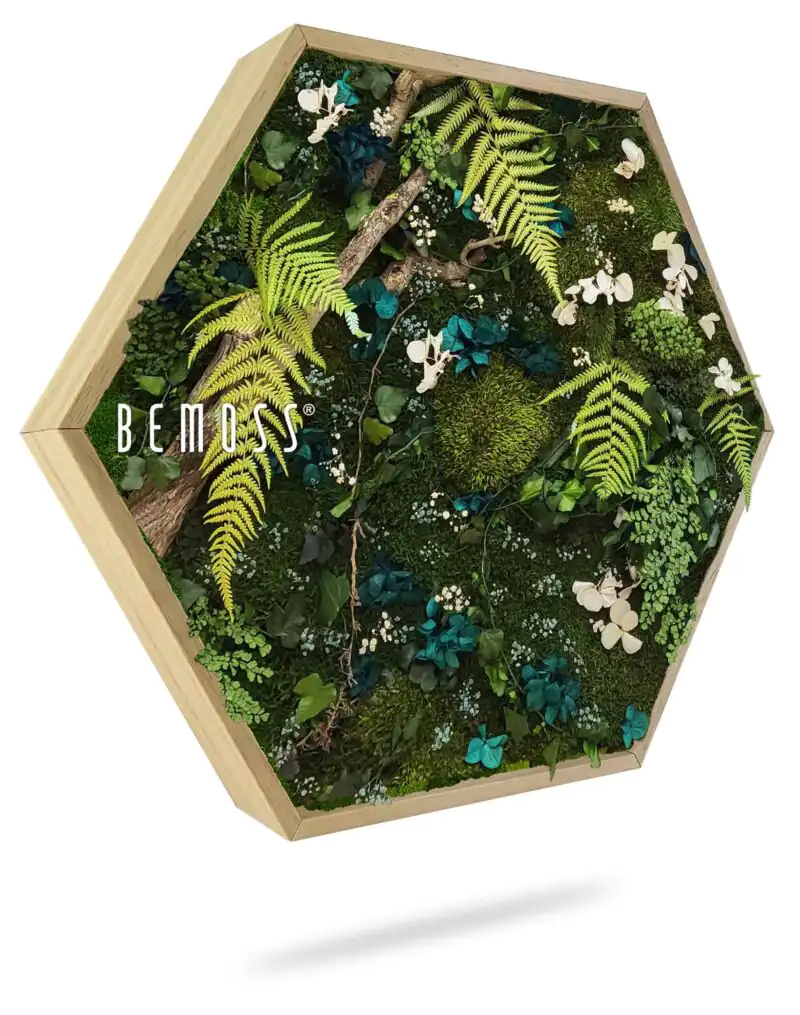 Hexagone de mousse PLANTES Moraleda