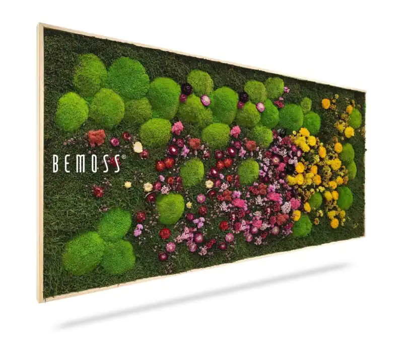 Tableau de mousse PLANTES Parra