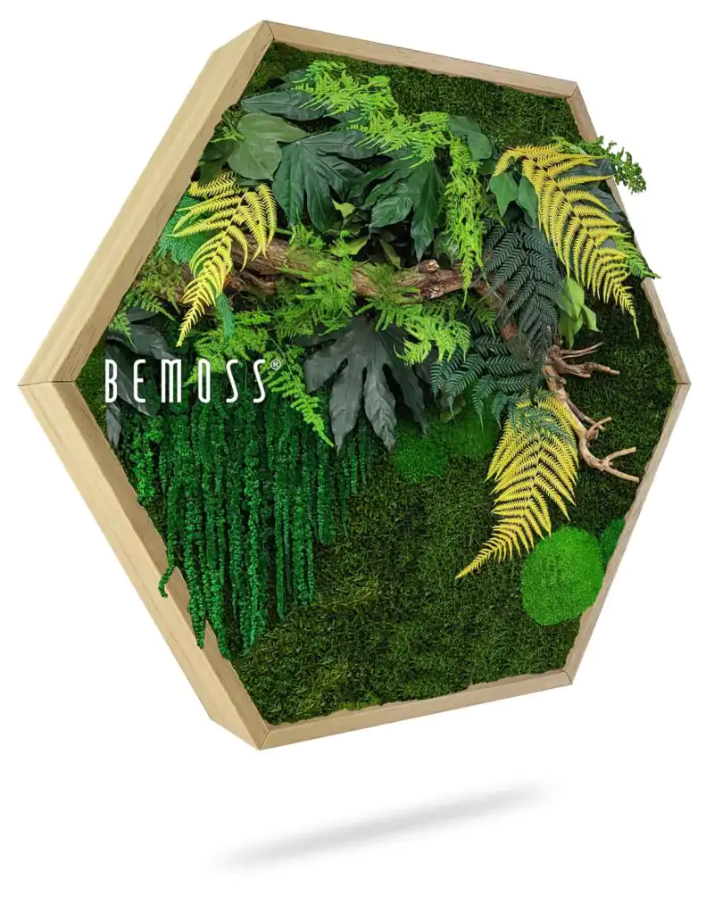 Hexagone de Mousse PLANTES Nihara
