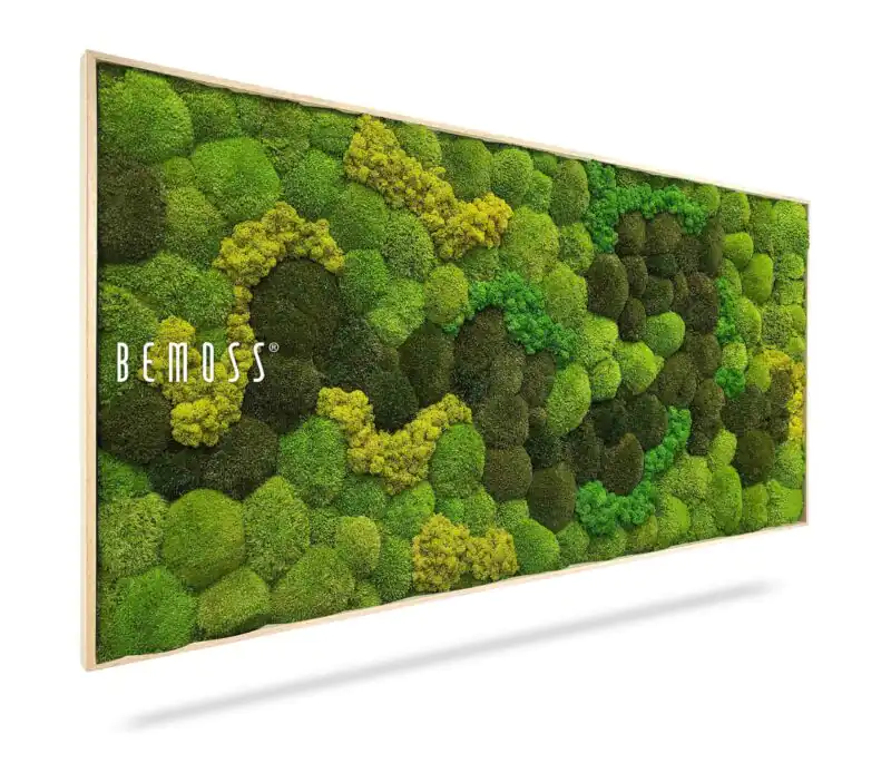 Tableau de mousse BOLMOSS DUO Light Anento