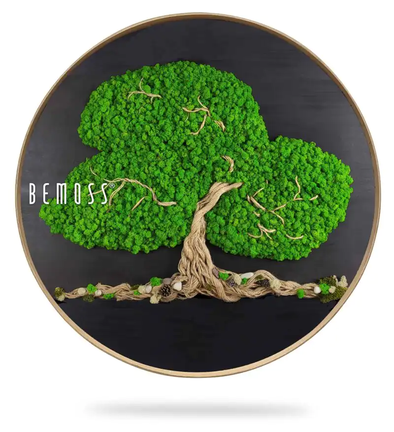 Tableau de mousse rond ARBRE ARLES