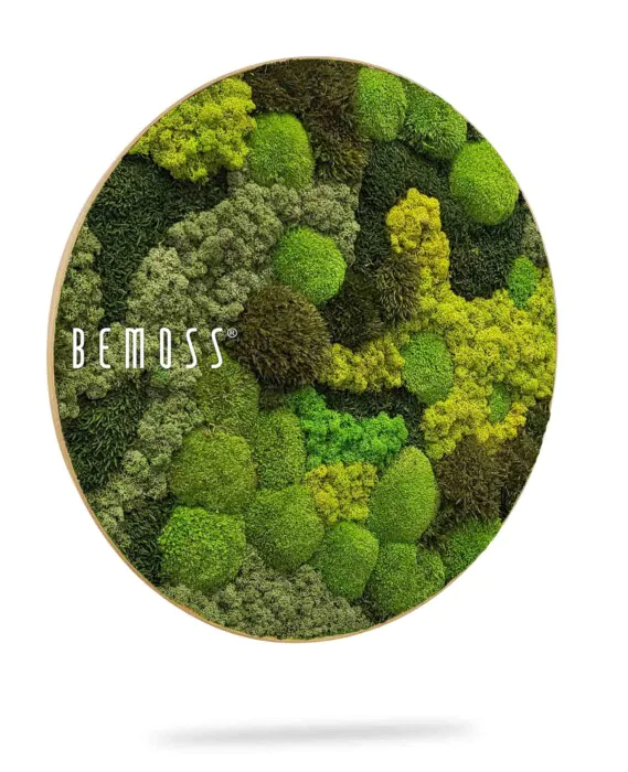 Une décoration murale circulaire avec le mot « BE MOSS » présente une variété de textures et de motifs de mousse verte, mélangeant différentes nuances de vert, du clair au foncé. La mousse a été disposée dans un design organique et naturel rappelant un paysage forestier miniature.