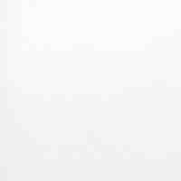 Bois blanc