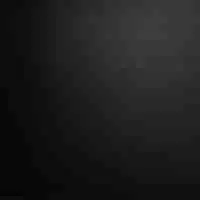 Bois noir