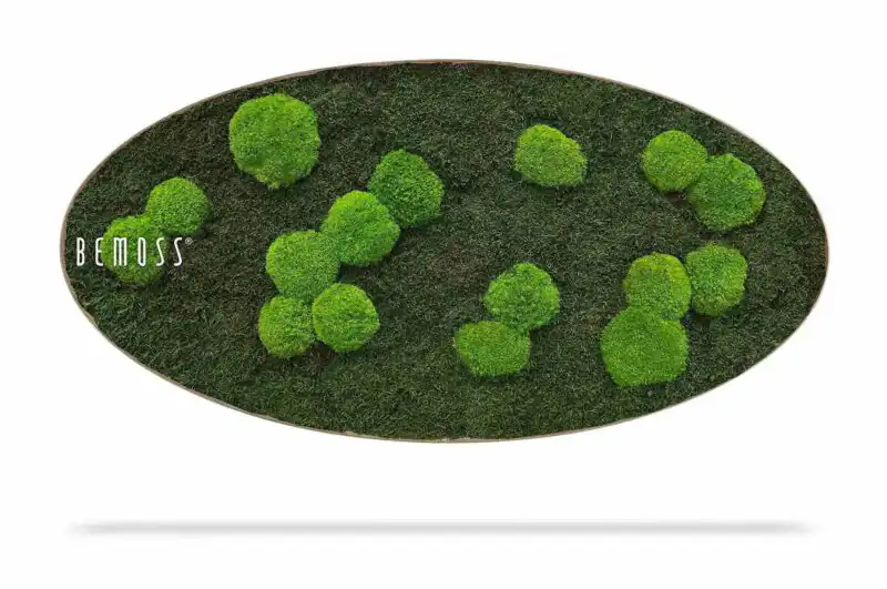 Tableau de mousse Ellipse FLATMOSS & BOLMOSS Light