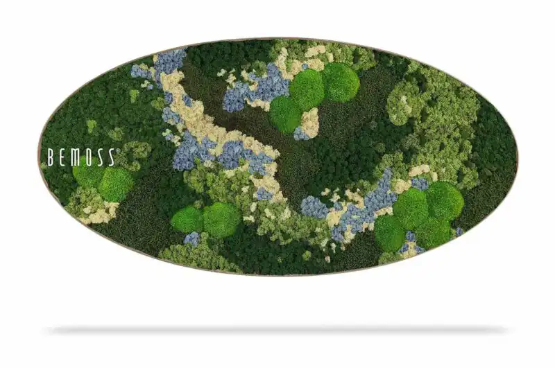 Tableau de mousse Ellipse BEMOSS® ORTHO ICE