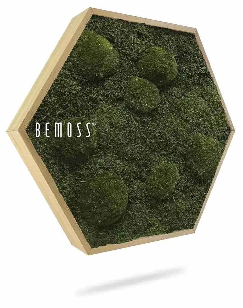 Hexagone de Mousse FLATMOSS & BOLMOSS Natural Green
