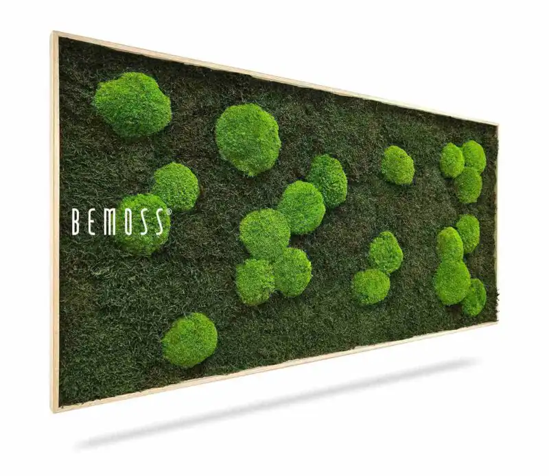 Tableau de mousse FLATMOSS & BOLMOSS Light Green