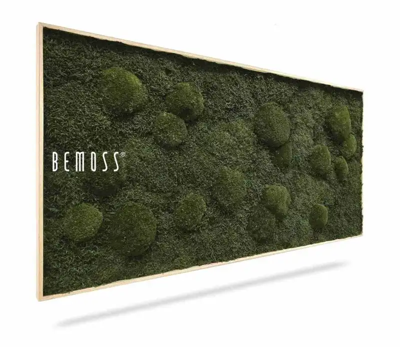Tableau de mousse FLATMOSS & BOLMOSS Natural Green