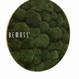 Tableau de mousse rond BOLMOSS Natural Green - Thumbnail Image 3