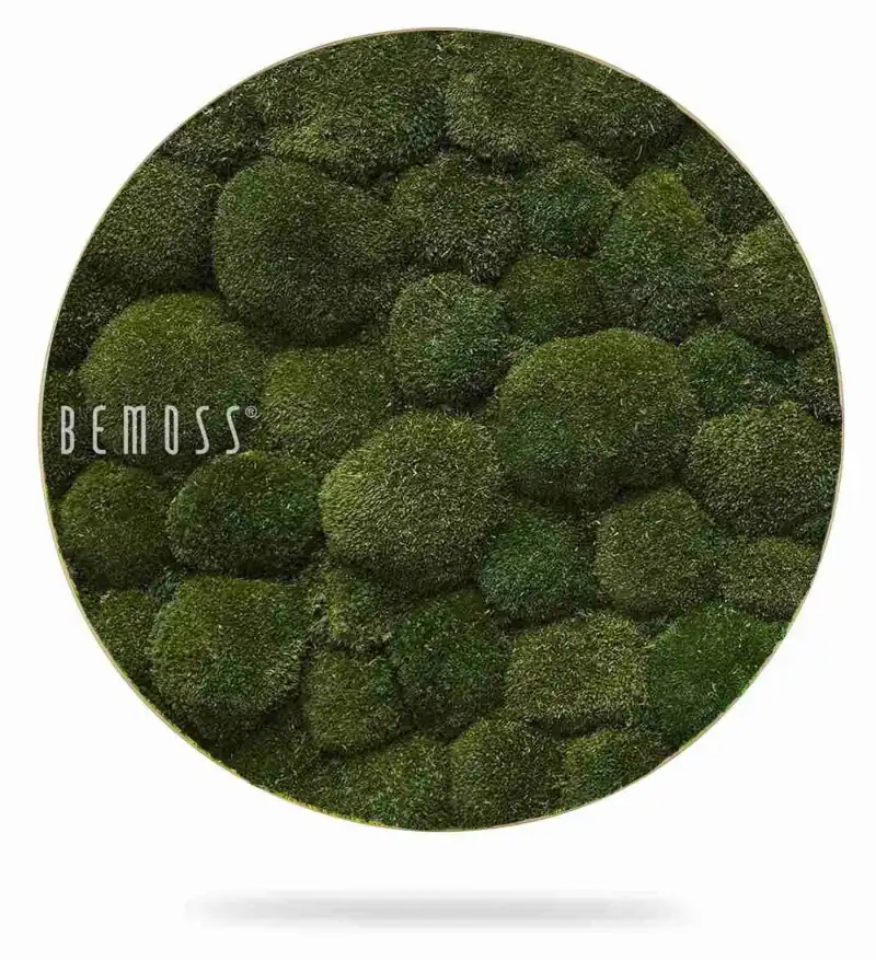 Tableau de mousse rond BOLMOSS Natural Green